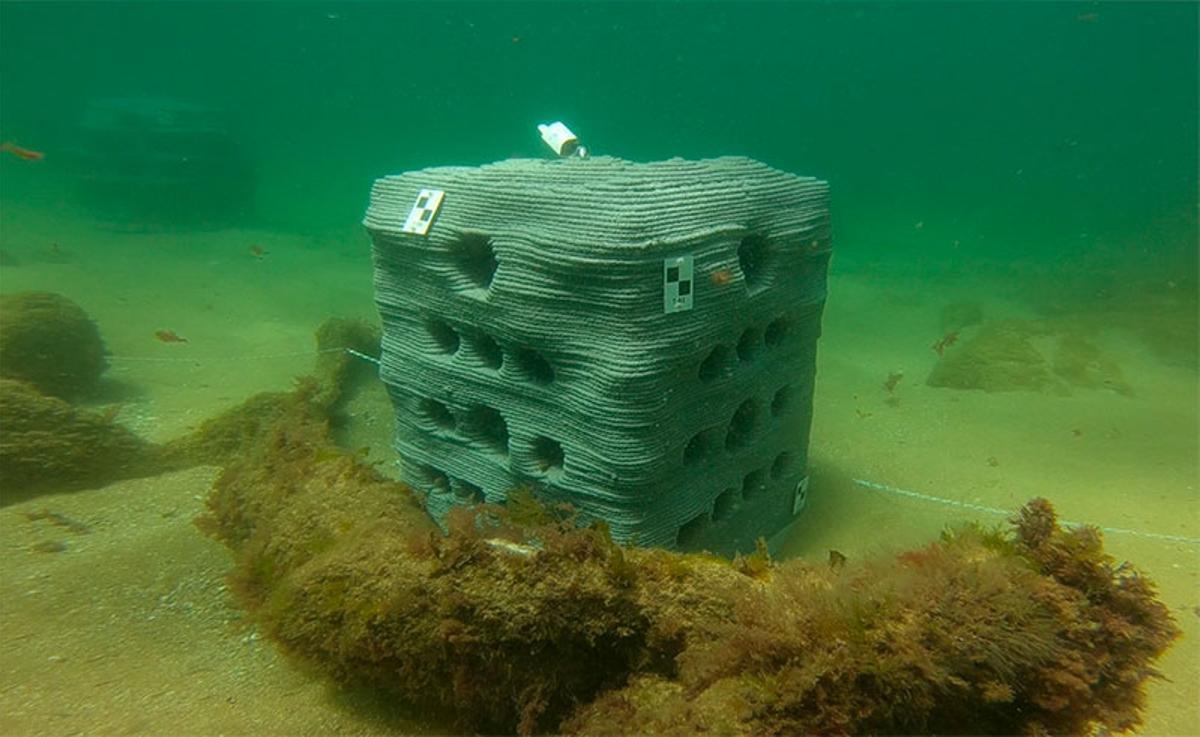 Arrecife artificial instalado en la bahía de Santander.
