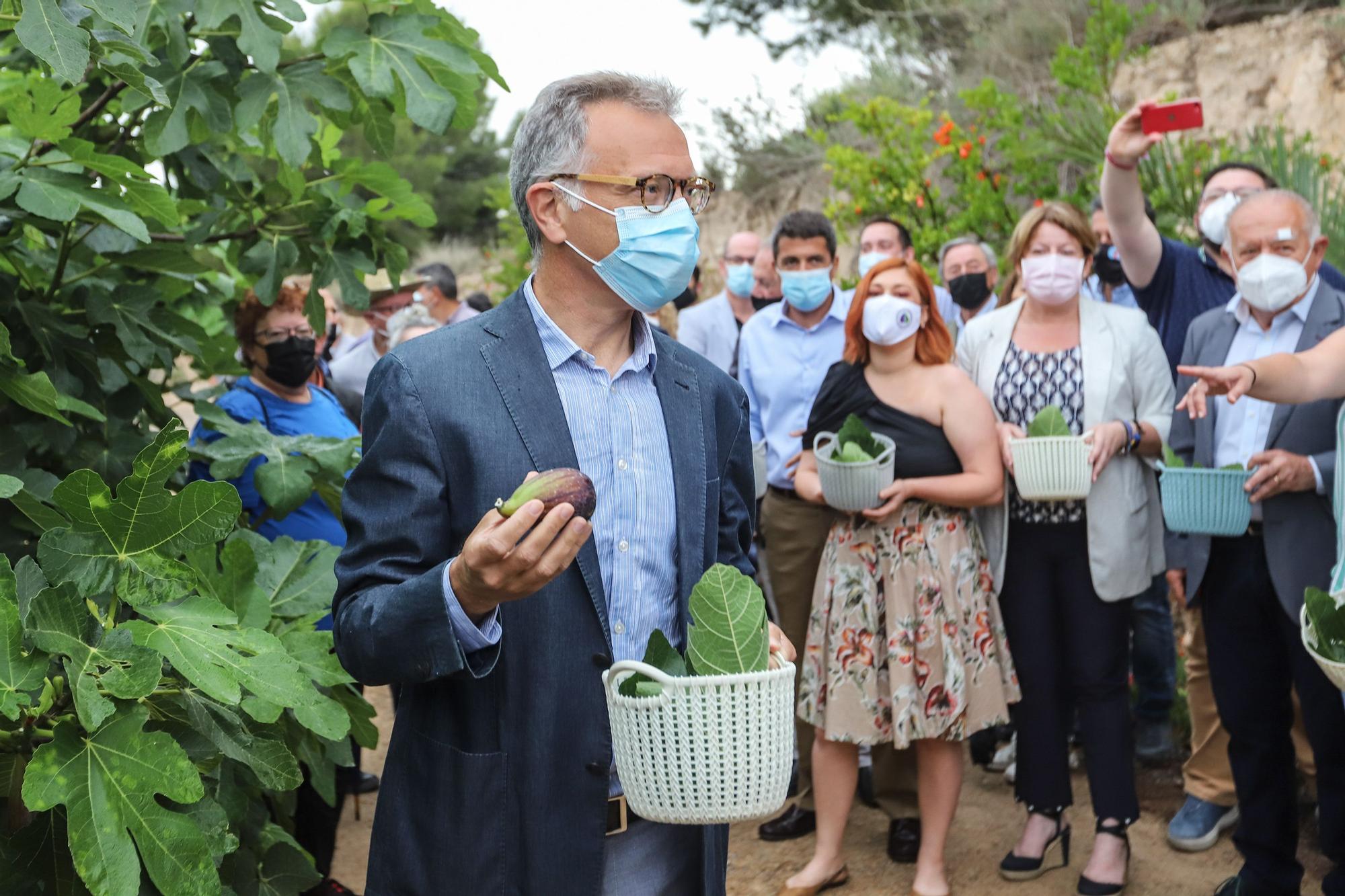 Primer corte de la breve de Albatera, que da inicio a la campaña