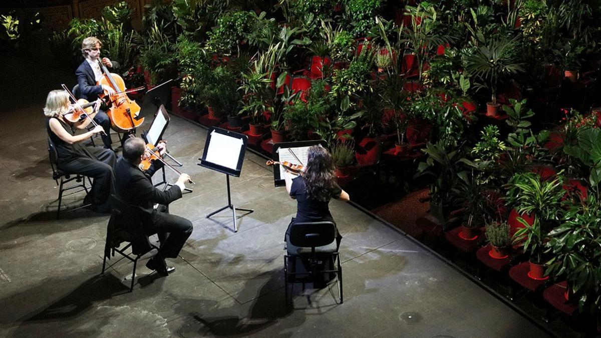 Un momento del primer concierto con plantas como público celebrado en el Liceu, el 22 de junio