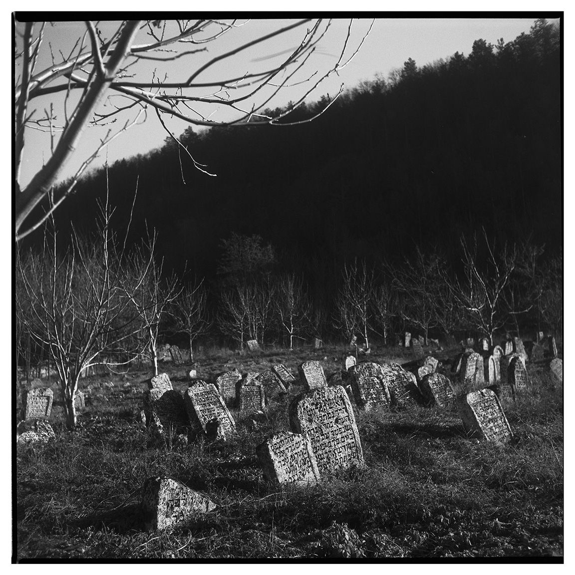Cementerio judío en Dubăsari, al norte.