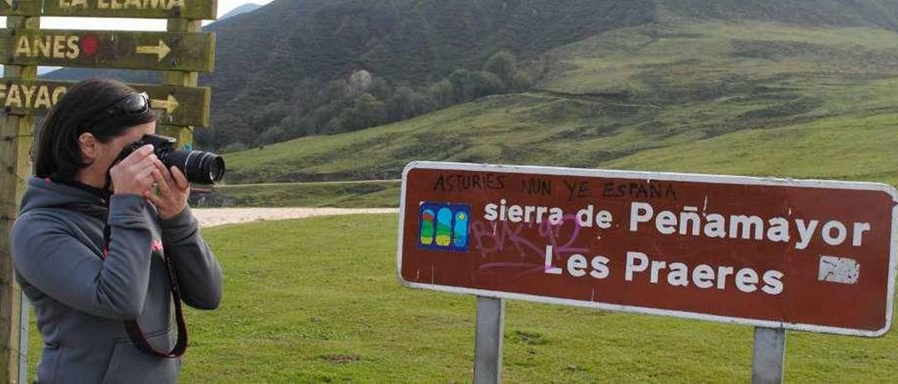 Arriba, Susana González saca fotos junto al cartel que señaliza Les Praeres. En el centro, dos vacas junto a la carretera. Sobre estas líneas, Aladino Montes besa a &quot;Bambi&quot; y, a la derecha, Poli Honorato, Aladino Montes, Araceli Canella, Daniel Alonso y Santiago Nogales, en el bar de Les Praeres.