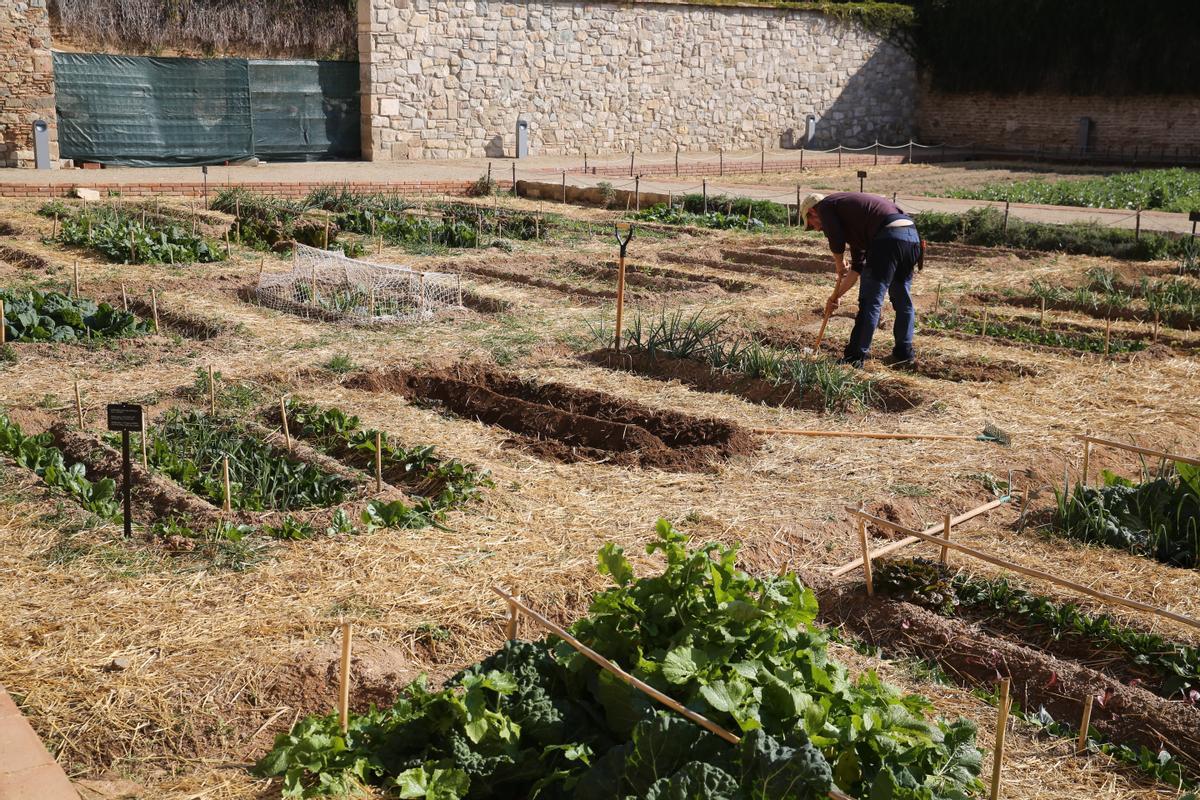 Tradicional visita de la Corporació Municipal a la Comunitat de Monges Clarisses al Reial Monestir de Santa María de Pedralbes