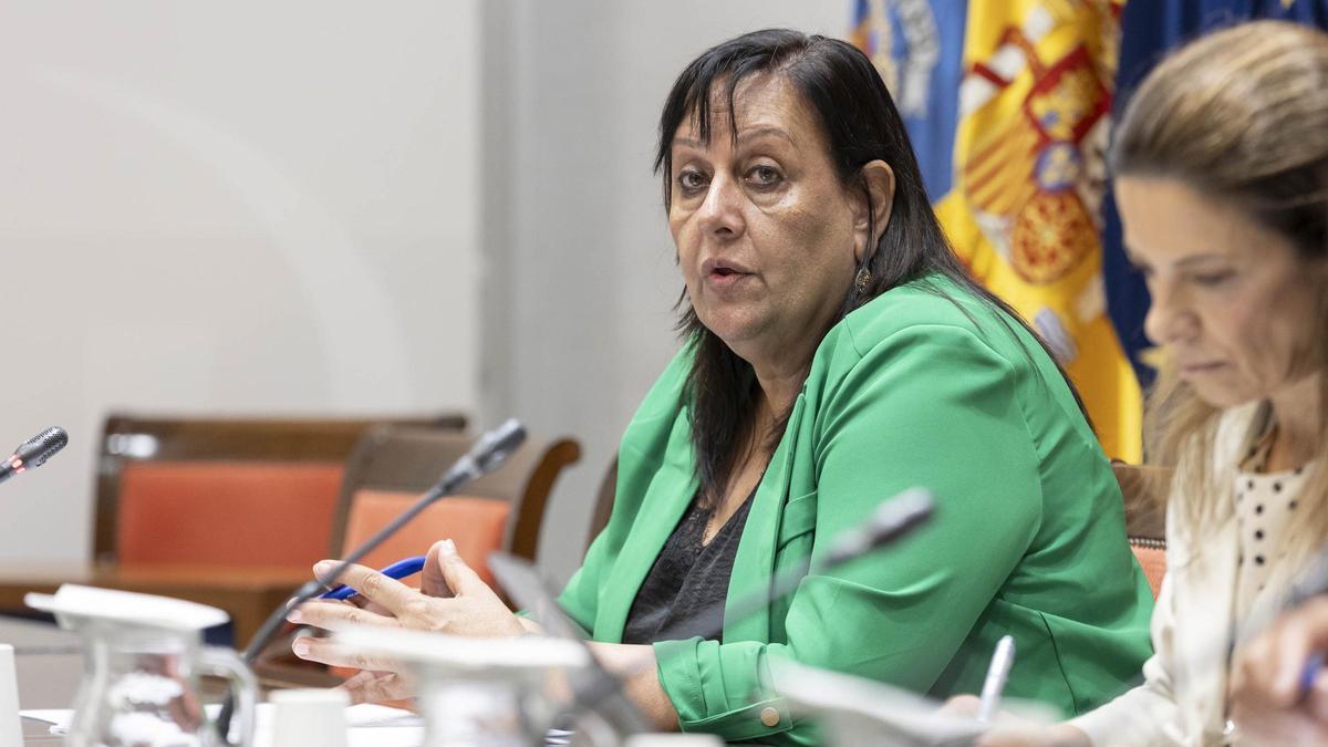 La fiscal superior de Canarias, María Farnés, en el Parlamento de Canarias