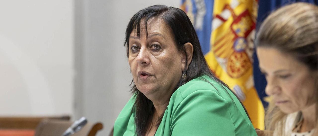 La fiscal superior de Canarias, María Farnés, en el Parlamento de Canarias