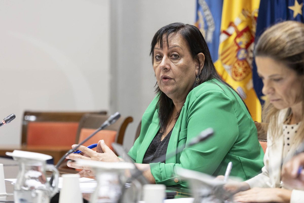 La fiscal superior de Canarias, María Farnés, en el Parlamento de Canarias