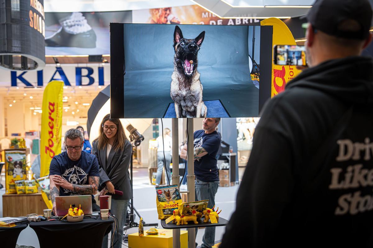 Barcelona, 16/04/2026 OnBarcelona. El fotógrafo de perros más viral del mundo: Christian Vieler estará en Barcelona del 16 al 18 de abril. AUTOR: MANU MITRU