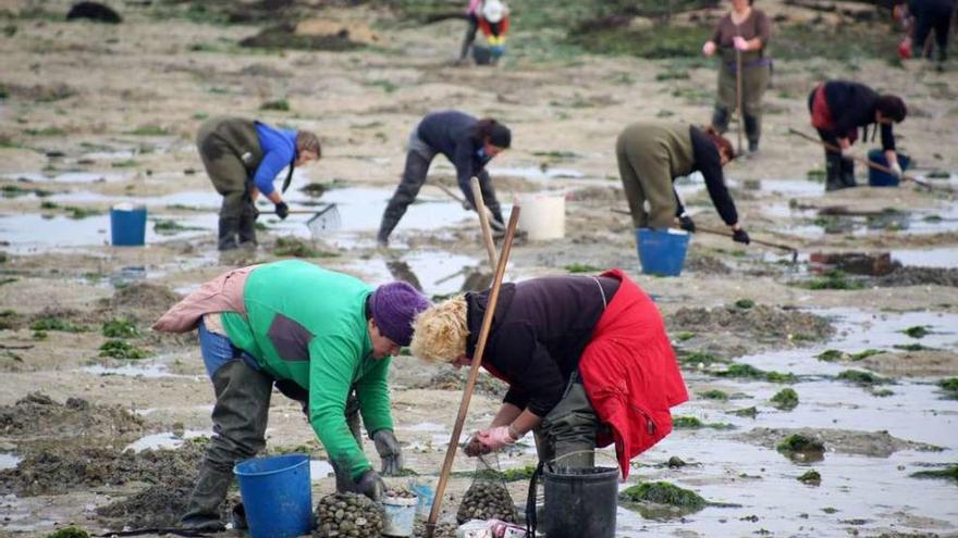 Las mariscadoras de a pie ya tienen el calendario de trabajo para el mes que viene. // Muñiz