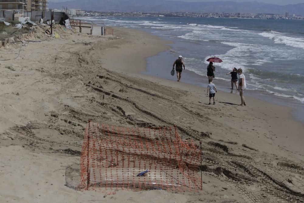 Reabren las playas en Elche y carencias