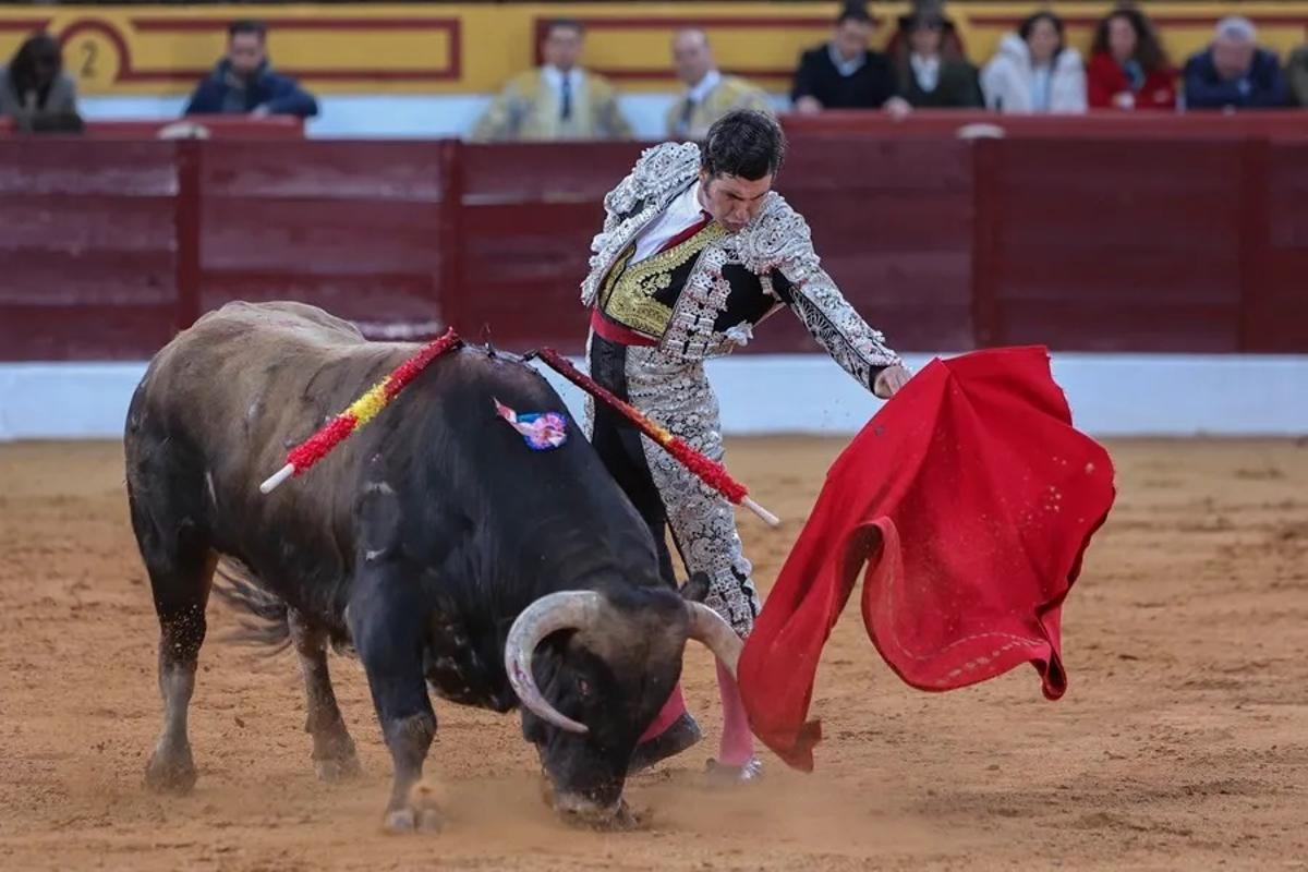 Morante de la Puebla en la última feria de Olivenza.
