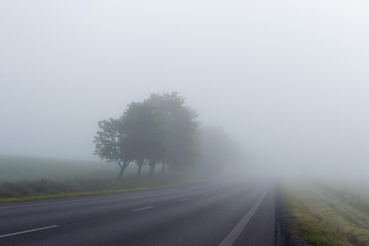 La densa niebla afecta varias carreteras del Camp de Tarragona.