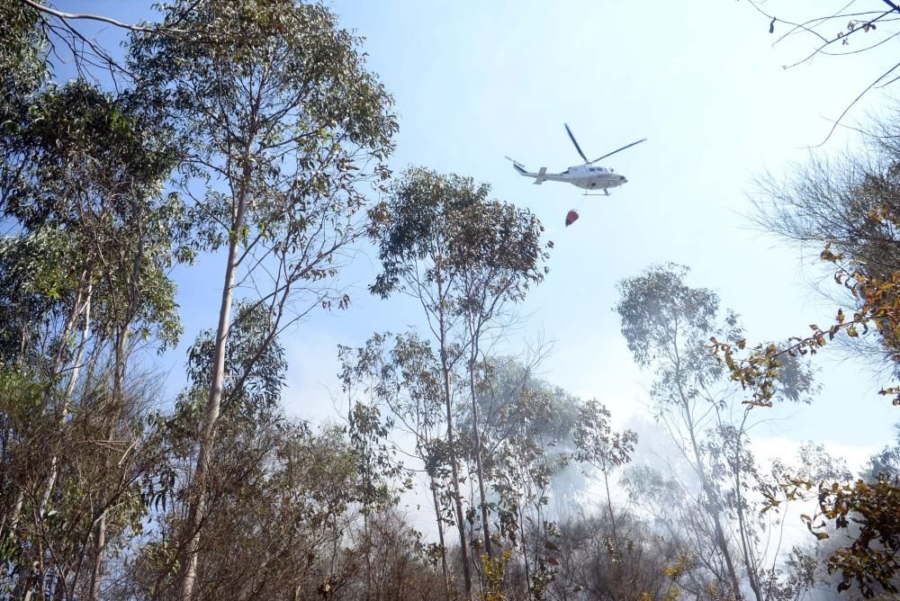 Incendio forestal en Cotobade