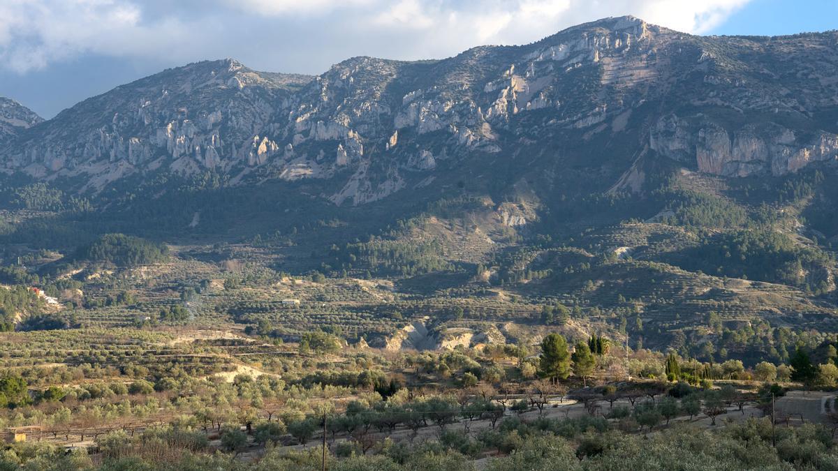 Serra de la Serrella con les Agulles o els Frares desde Balones.