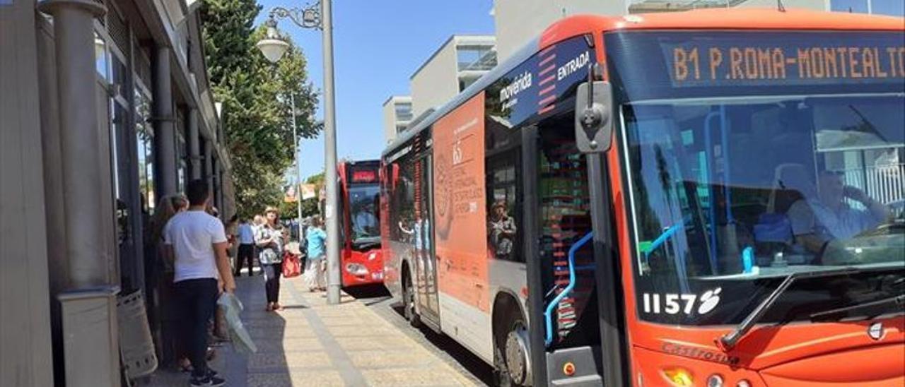 Parada de autobuses urbanos en el paseo de Roma.