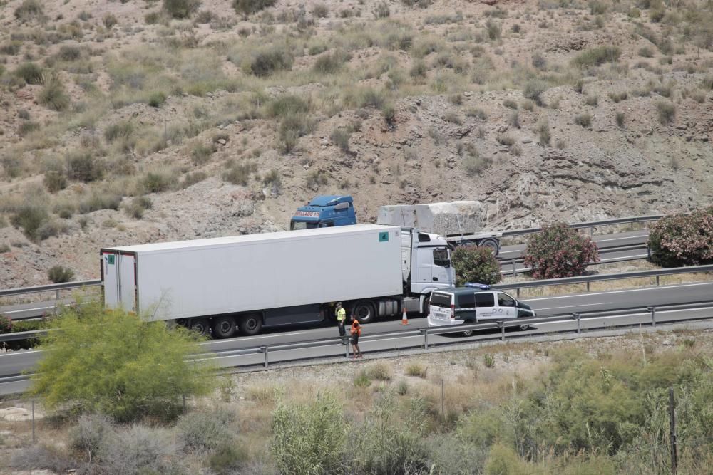 El incidente se ha producido entre Petrer y Novelda, en sentido Alicante-Madrid - El vehículo transportaba vísceras de animales