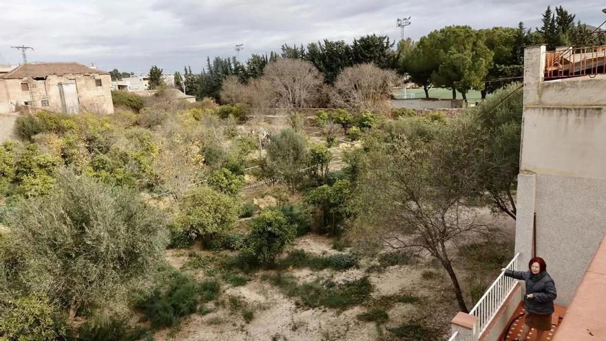 La Alberca del Molino Armero de la pedanía murciana de Cabezo de Torres revivirá como un gran huerto jardín