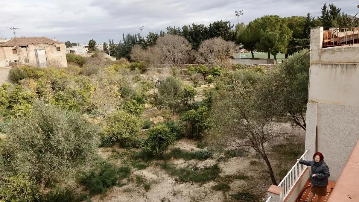 La Alberca del Molino Armero de Cabezo de Torres en una imagen de archivo