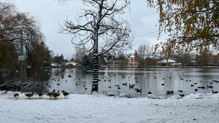 Animals a l'entorn de l'estany de Puigcerdà, emblanquinat per l'episodi de neu i vent