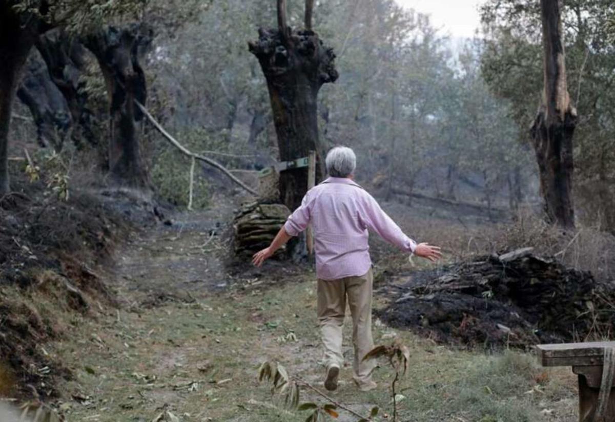 Un vecino camina por una de las zonas quemadas en el incendio de O Courel, en 2022. |  Carlos Castro