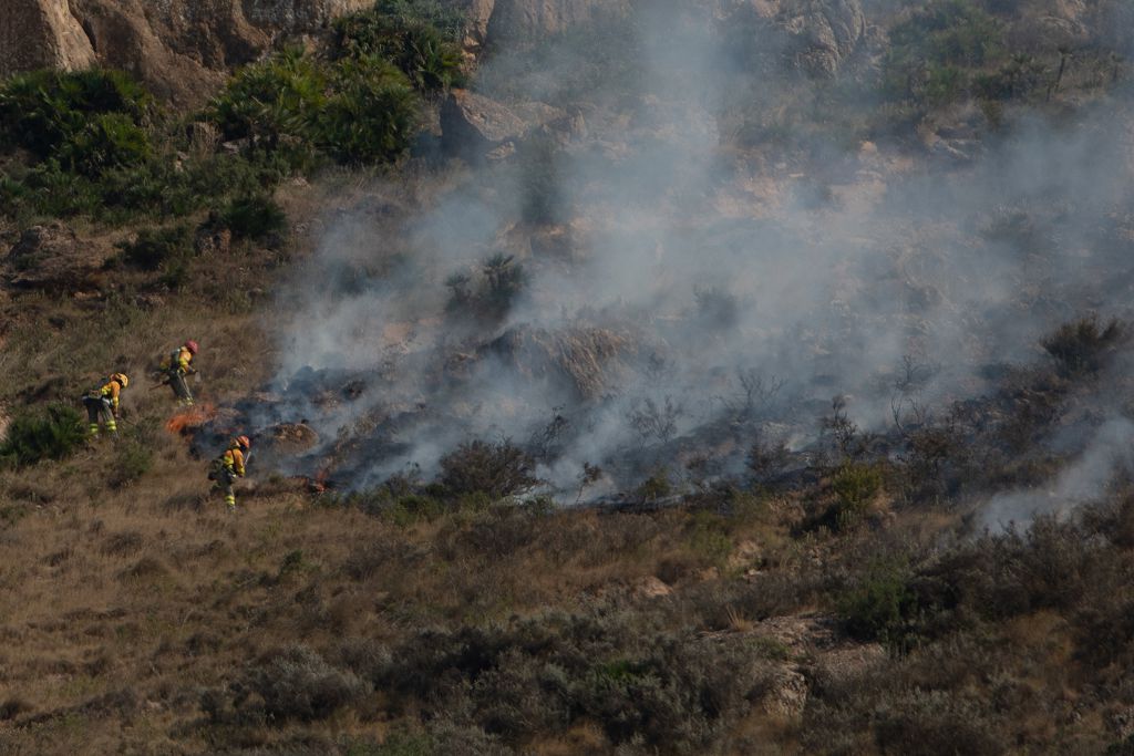 El incendio de las Cuestas del Cedacero, en imágenes