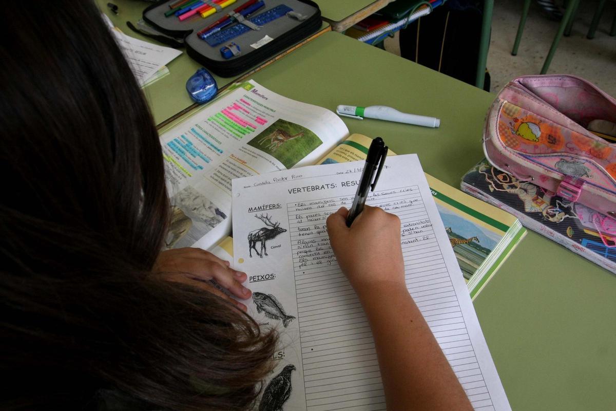 Una alumna escribiendo en valenciano durante una clase de Conocimiento del Medio