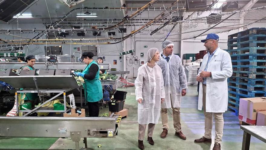 El director general de Formación Profesional, Enseñanzas de Régimen Especial y Educación Permanente, Luis Quiñonero, que participará en el evento, visitó varias empresas para informar sobre el procedimiento Prear.