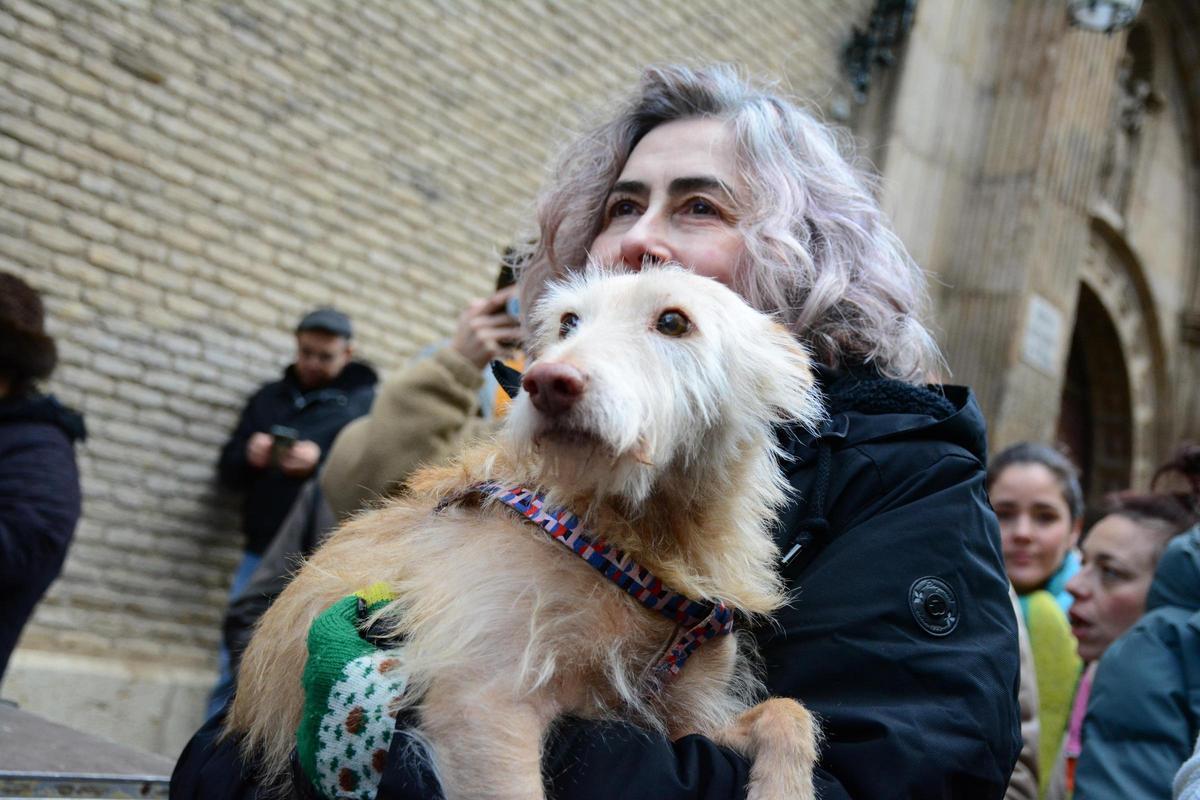 En imágenes | Bendición de los animales por San Antón en la iglesia de San Pablo