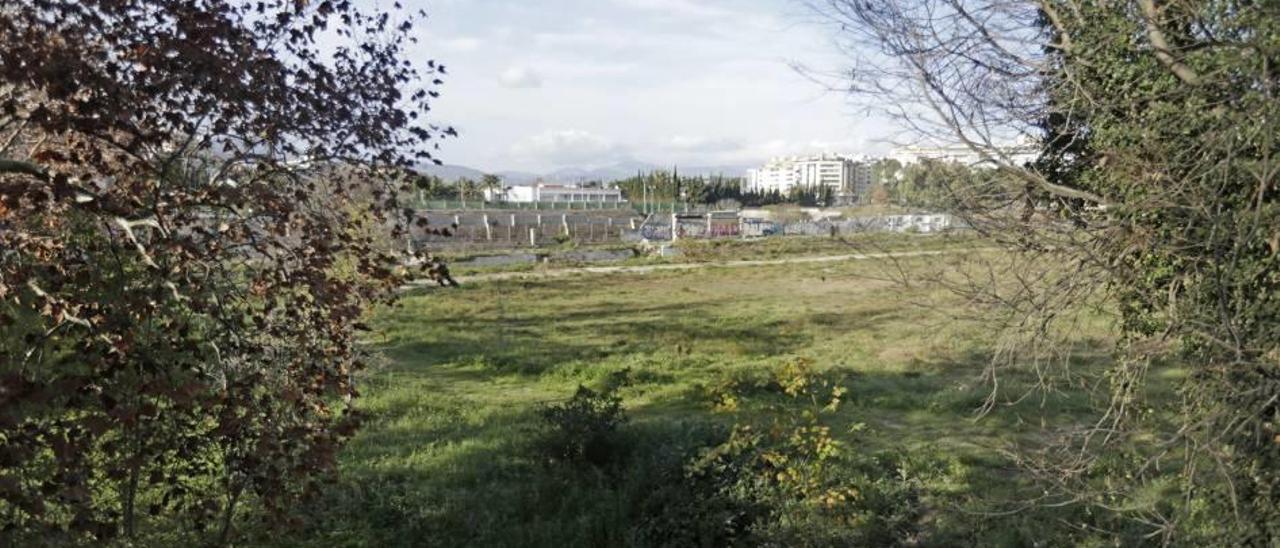 Cort prevé que los terrenos del velódromo de Tirador y el canódromo sean un bosque urbano.