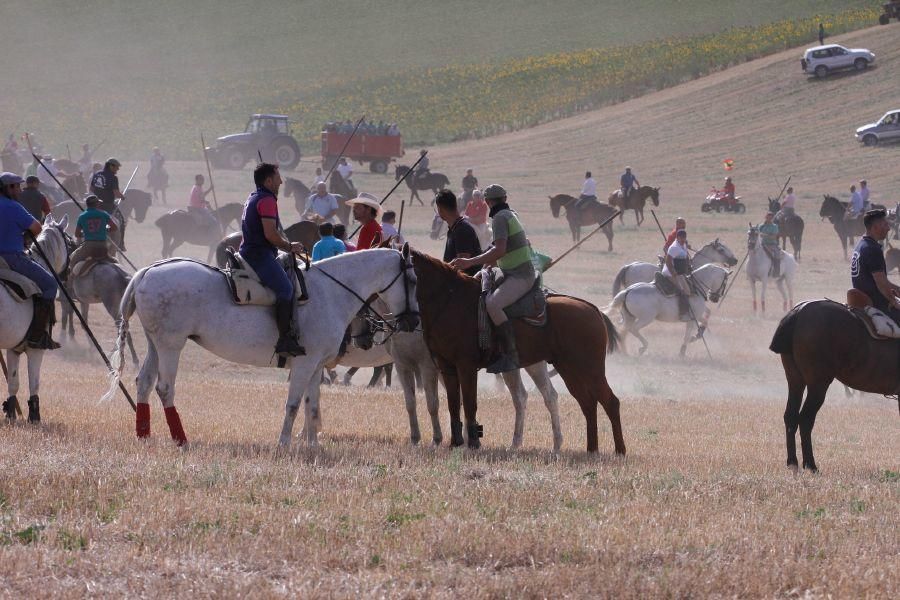 Encierro de campo en Villaescusa