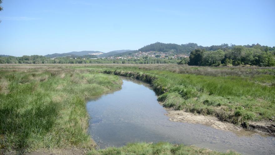 El Concello, dispuesto a negociar las concesiones de la Xunta en la marisma de Alba