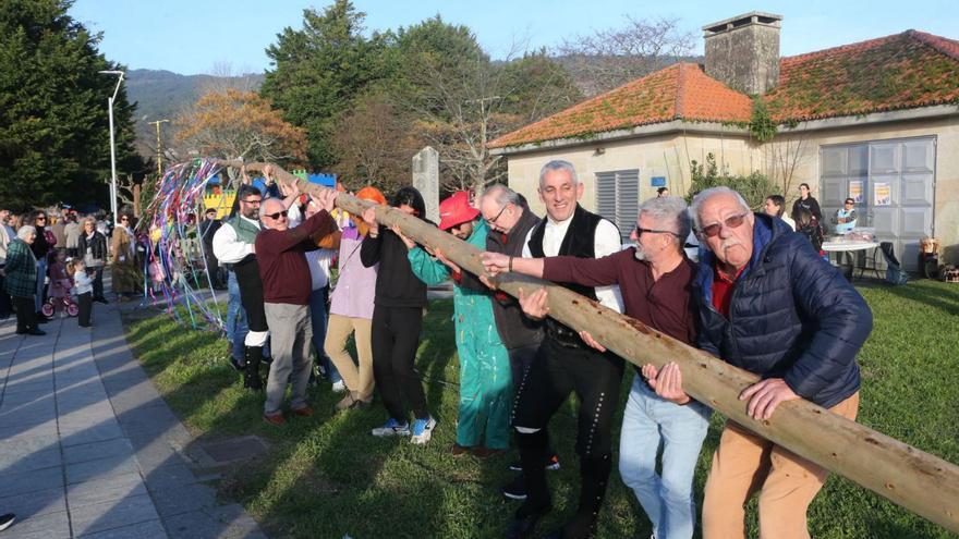 Meira abre el Entroido en la comarca con una vara de eucalipto de 10 metros