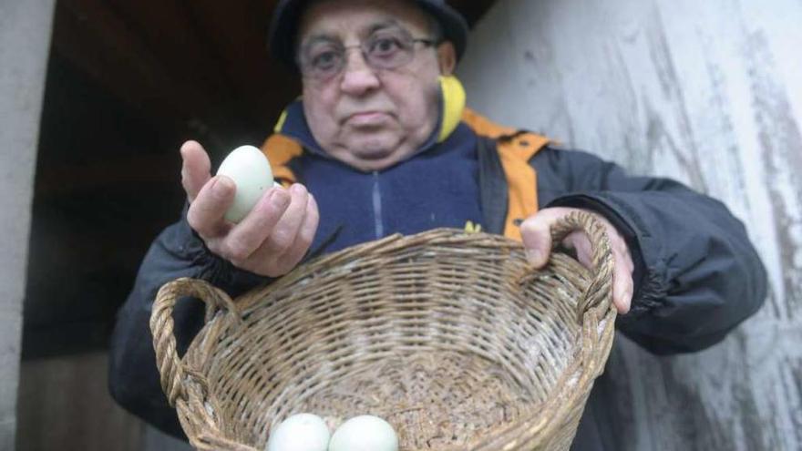 García Contreras, muestra los huevos verdes de sus gallinas.