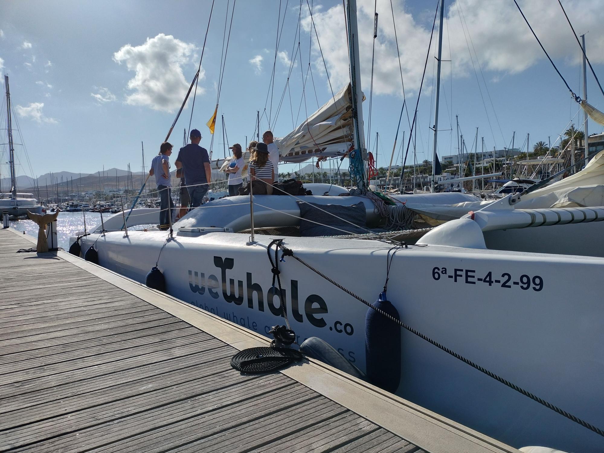 Cetáceos y catamarán 100% eléctrico en Lanzarote