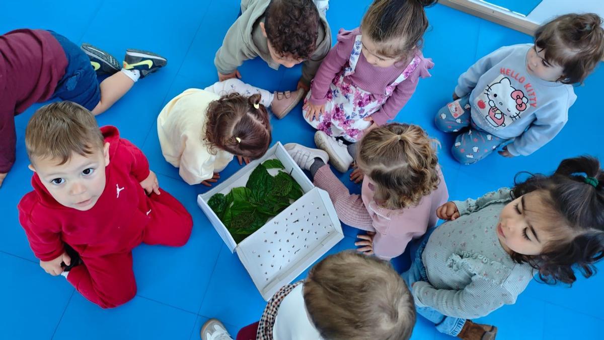 Los pequeños alumnos de la guardería cuidando sus gusanos de seda