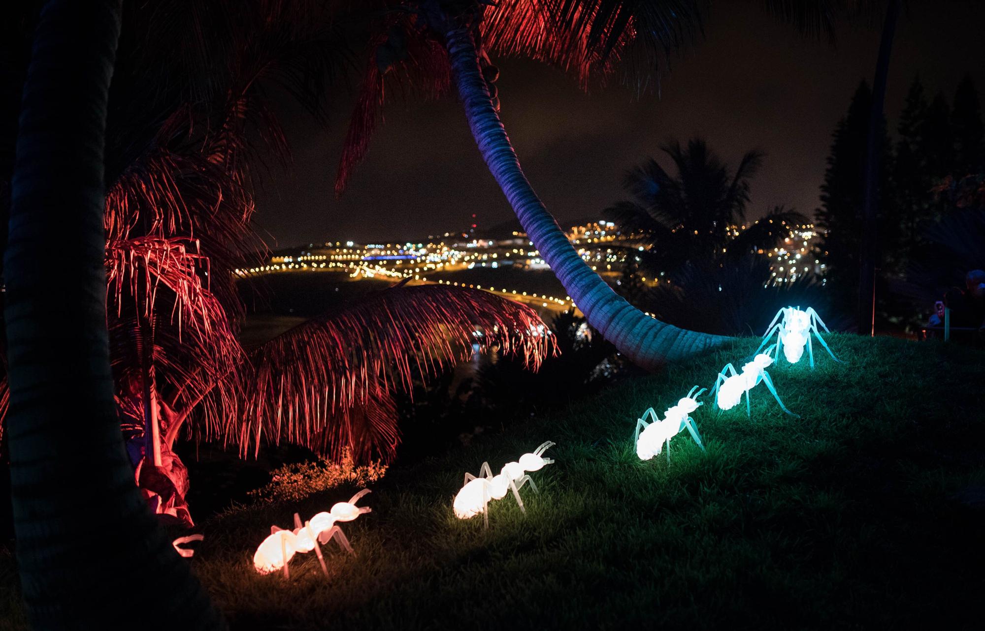 Estreno del espectáculo 'Naturaleza Encendida' en el Palmetum