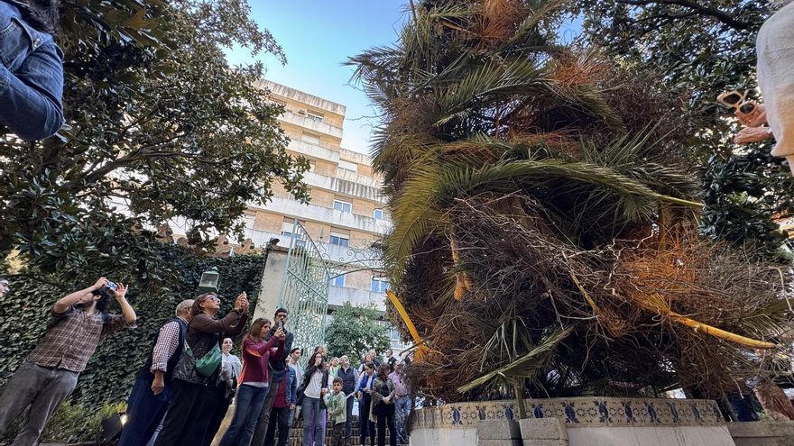 Aquí puedes ver las creaciones de Flora 2025: cinco espacios icónicos de Córdoba