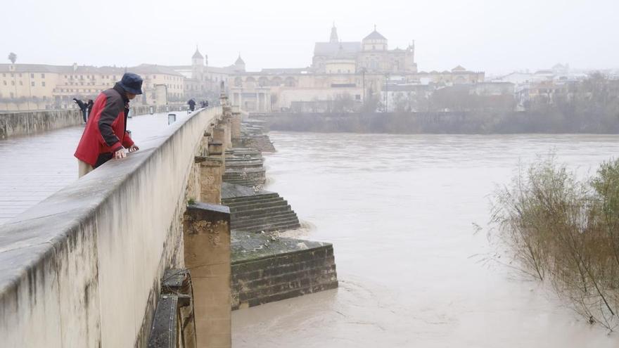 Desciende el nivel del Guadalquivir a su paso por Córdoba: las imágenes del río este martes