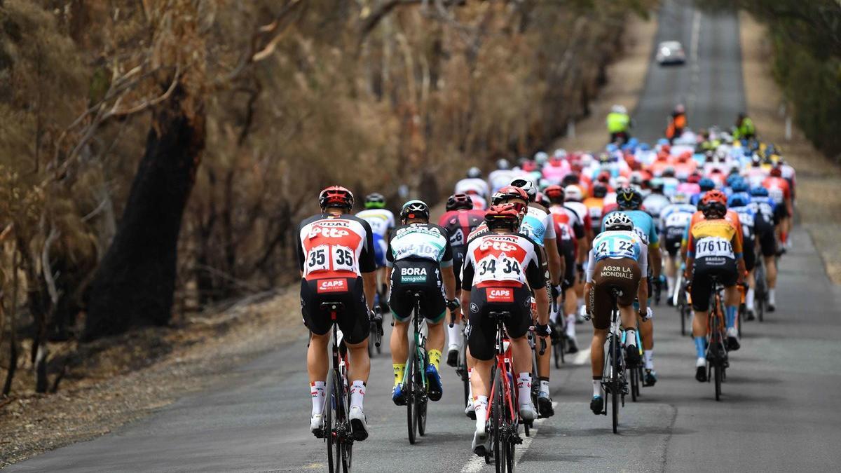 El pelotón recorre una carretera durante la cuarta etapa del Tour Down Under, desde Norwood hasta el puente Murray Bridge, en Australia Meridional (Australia).