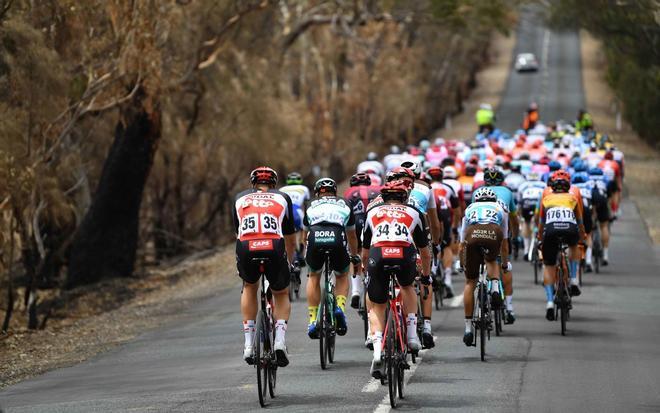 El pelotón recorre una carretera durante la cuarta etapa del Tour Down Under, desde Norwood hasta el puente Murray Bridge, en Australia Meridional (Australia).