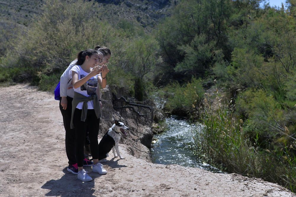 El Pantano de Elche