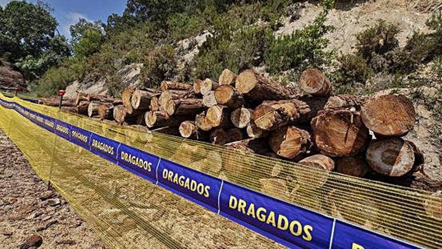 En la imatge superior, el tall de bosc que s&#039;ha eliminat per on hauria de passar l&#039;autovia. En les imatges inferiors, restes d&#039;arbres acumulades.