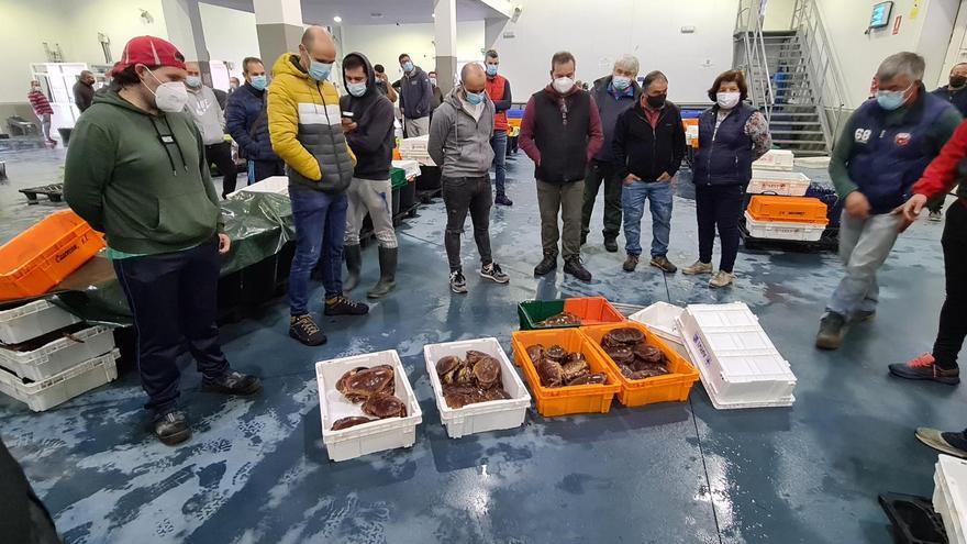 El buey (de mar) también se cuece en verano