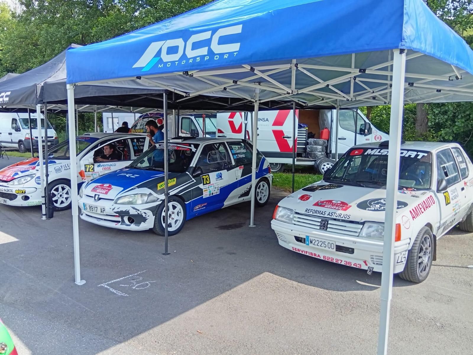 Rallysprint Villa de Grado- Benfer 2025, en imágenes