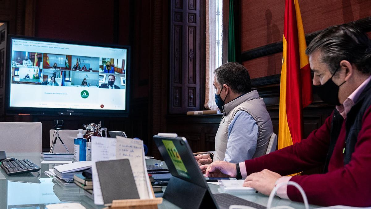 Elías Bendodo y Antonio Sanz, ayer en una reunión telemática con delegados provinciales.