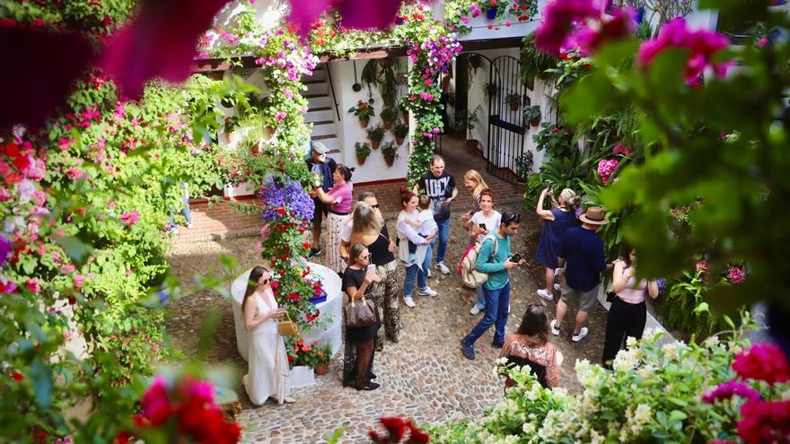 Los ganadores del concurso de Patios de Córdoba 2025, en imágenes