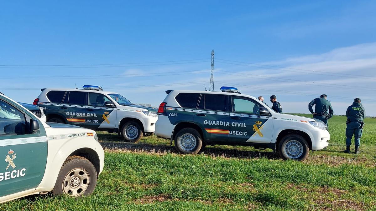 Dispositivo de búsqueda en Cerecinos del Carrizal en las últimas horas.