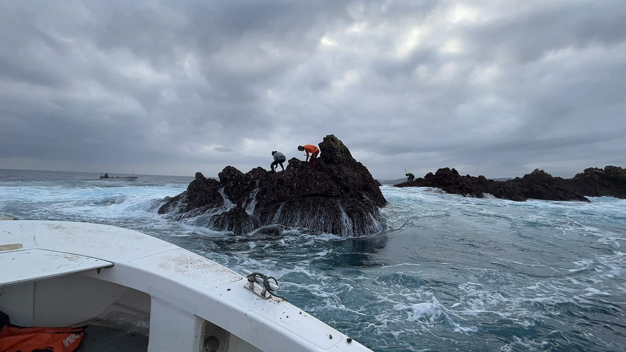 EN IMÁGENES: Así luchan los mariscadores de Luanco por cada kilo de percebe en el cabo Peñas