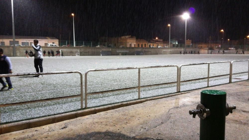 Nevada en Elche