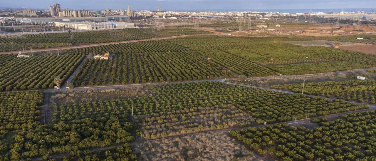 Imagen de parte de los terrenos previstos para la instalación de la gigafactoría de Volkswagen en Parc Sagunt.