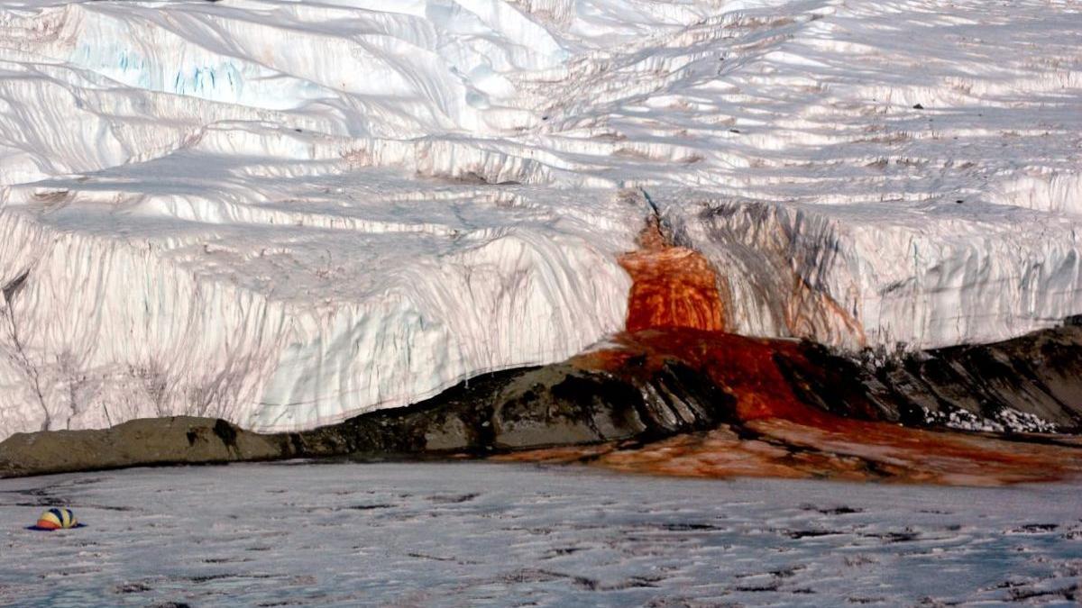 Una impresionante “catarata de sangre” en el glaciar Taylor.
