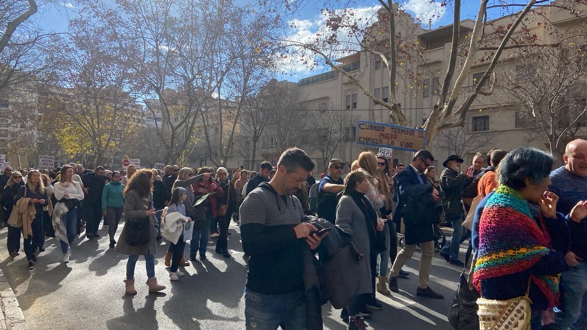 Manifestación contra la exigencia del certificado covid en Palma